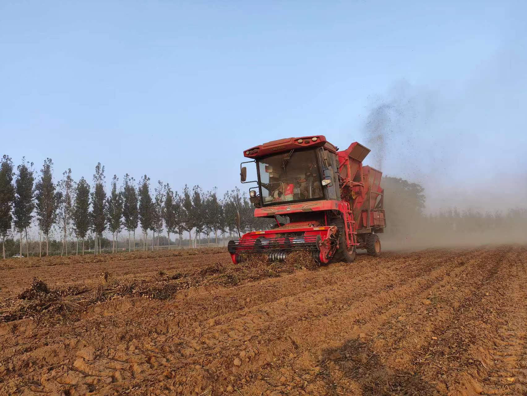 河南駐馬店龔小桃:皮實耐用效果好,我現(xiàn)在就有3臺中聯(lián)收獲的花生機 1713445662146042.jpg