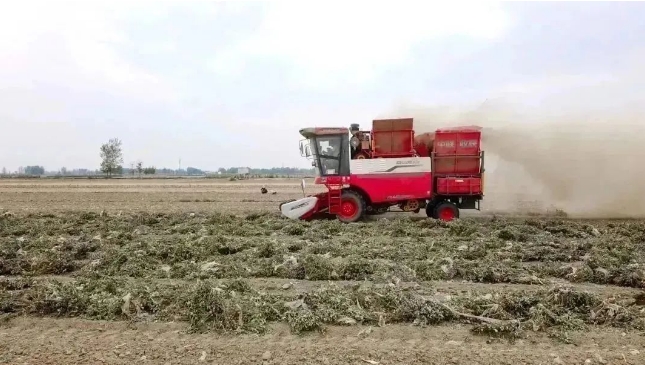 河南駐馬店龔小桃:皮實耐用效果好,我現(xiàn)在就有3臺中聯(lián)收獲的花生機 1713445722435701.png