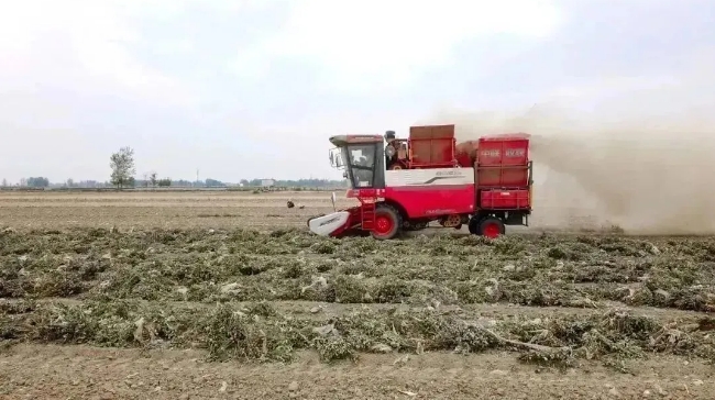 中聯(lián)收獲助力楊進亮在滑縣白道口鎮(zhèn)實現(xiàn)高效農(nóng)業(yè) 1.png