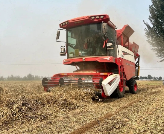 忠實(shí)粉絲李師傅：中聯(lián)收獲花生機(jī)，致富路上的可靠伙伴